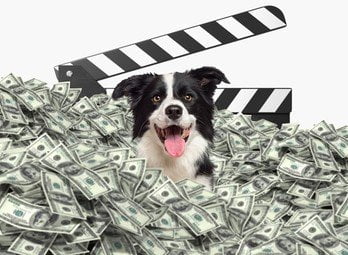 Furry Fortune The Movie on Republic