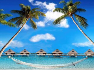 Tahiti's Breeze