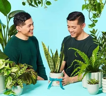 Invest in The Sill on